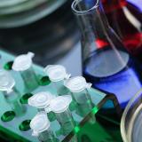 Clarification du bouillon de fermentation acide organique