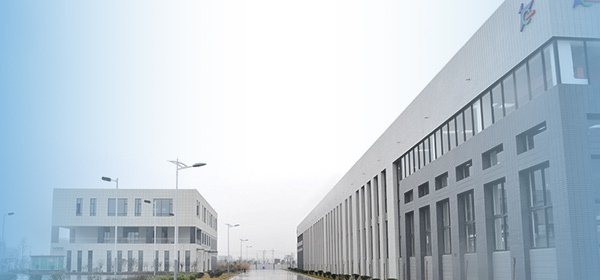 Principales capacités d'intégration des ressources de l'industrie