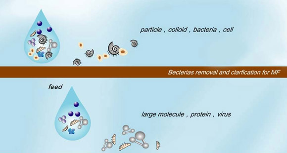 Technologie de la membrane MF